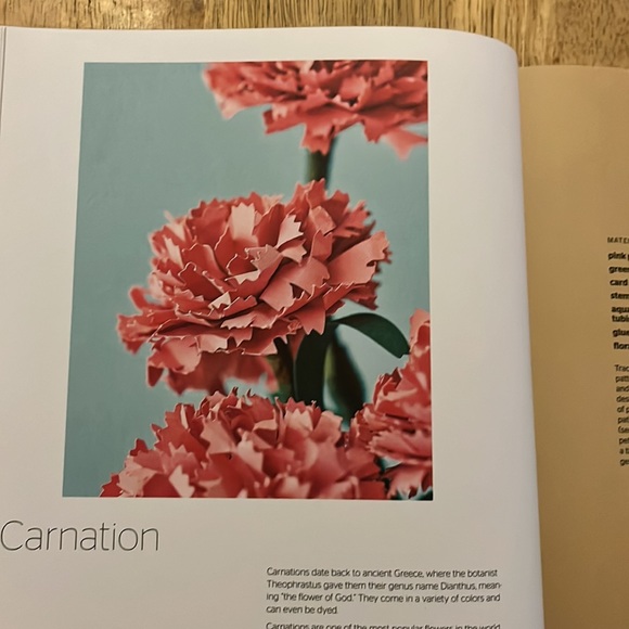 The Art of Paper Flowers By Bobby Pearce - Picture 9 of 12